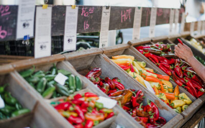 The 100-Year Friend: An Eco-System  Approach to Fundraising