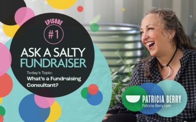 What’s a fundraising consultant?